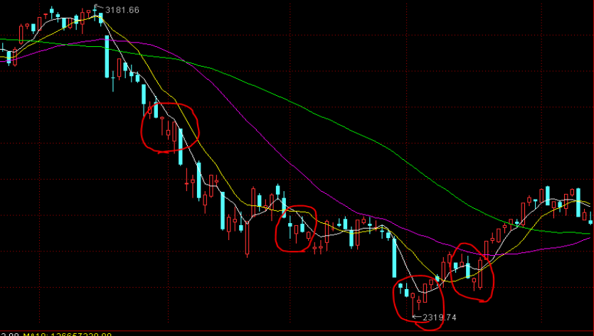 市工商联、市非公党委联合开展党日主题活动